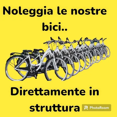 Salsedine 3*