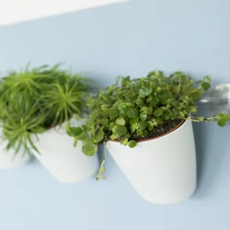 Salsedine  4 Min Da Fiera ! Hotel 3*