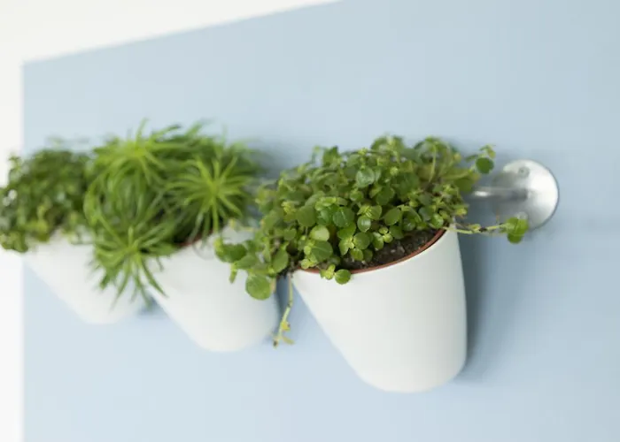 Salsedine - Aderisce Al Programma Aic-senza Glutine Szálloda 3*