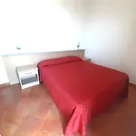 Salsedine Rímini